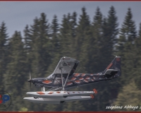 TSR Watermark - 0270